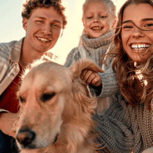 FamilyNes_Purina_kisokos_nyereményjáték_landing_page_20251030_v01_header_01