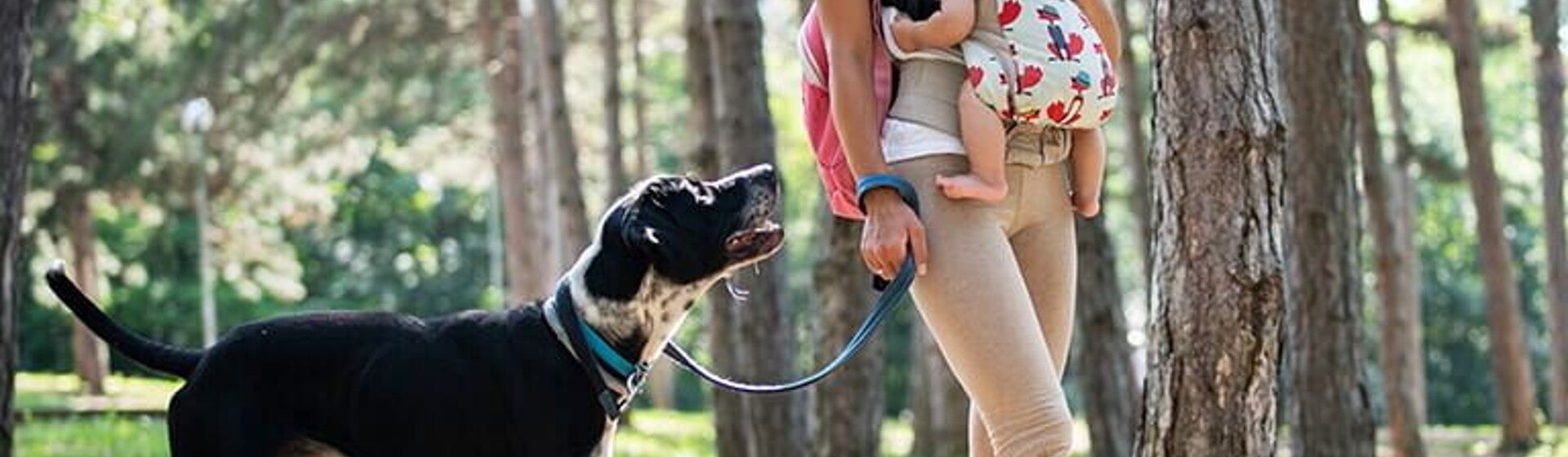 baby_me_purina_kisokos_web