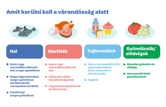 Kockázatos ételek a bakteriális fertőzések elkerülése érdekében Kockázatos ételek a bakteriális fertőzések elkerülése érdekében