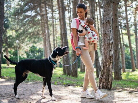 baby_me_purina_kisokos_web baby_me_purina_kisokos_web