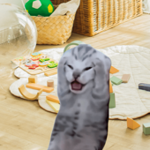 Ki a győztes az anyák versenyében?