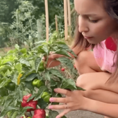 Hozzátáplálási kisokos