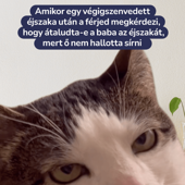 Anyák és az éjszakai műszak